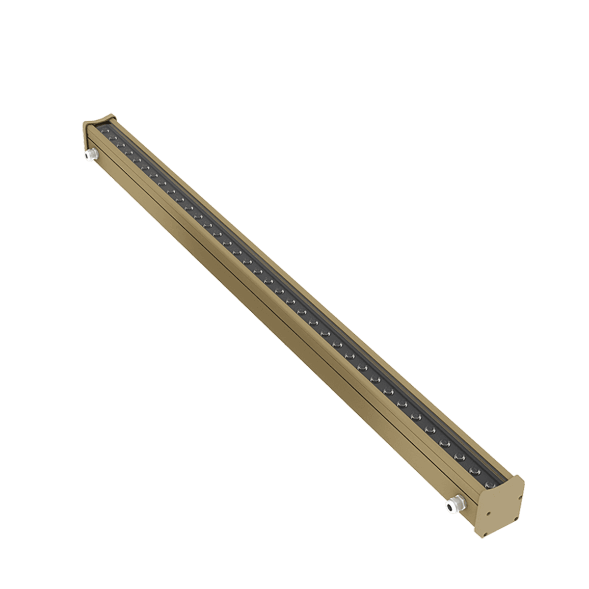 1000 mm