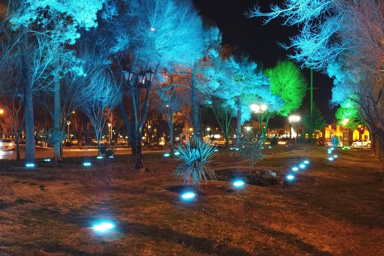 معرض المشروع