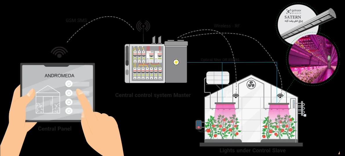 About the Raya system